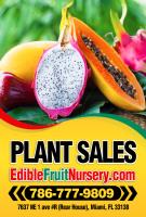 Edible Landscaping & Fruit Tree Nursery image 9